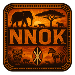 NNOK ভিআইপি লাউঞ্জের ভেতর